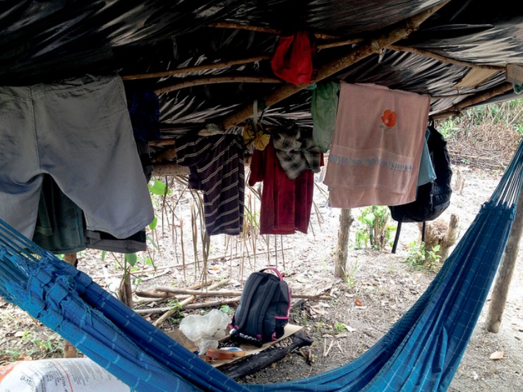 Mais de 500 trabalhadores escravos foram resgatados no Amazonas, aponta CNJ 