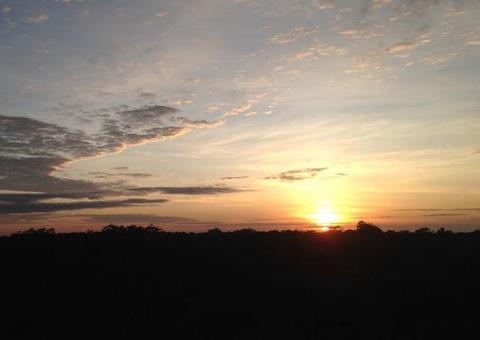 Museu da Amazônia comemora 10 anos com novidades nas visitas com e sem guia