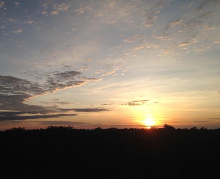 Museu da Amazônia comemora 10 anos com novidades nas visitas com e sem guia
