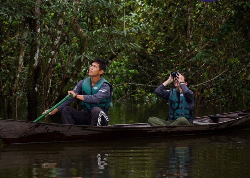 Com bolsas de até R$ 5,2 mil, Instituto Mamirauá abre inscrições para seleção 