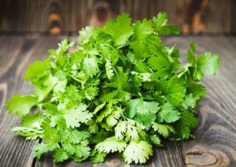 Benefícios de 12 temperos que fazem muito bem para a saúde