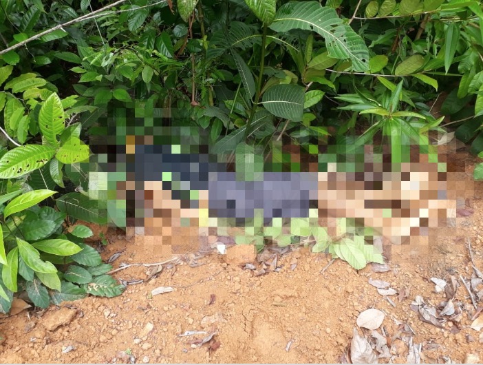 Corpo com as mãos amarradas é encontrado no Amazonas 