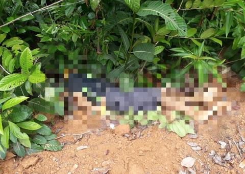 Corpo com as mãos amarradas é encontrado no Amazonas 
