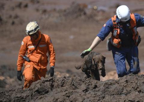 Nem todos os corpos em Brumadinho deverão ser encontrados, dizem Bombeiros