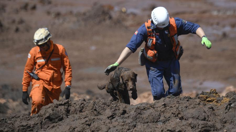 Nem todos os corpos em Brumadinho deverão ser encontrados, dizem Bombeiros