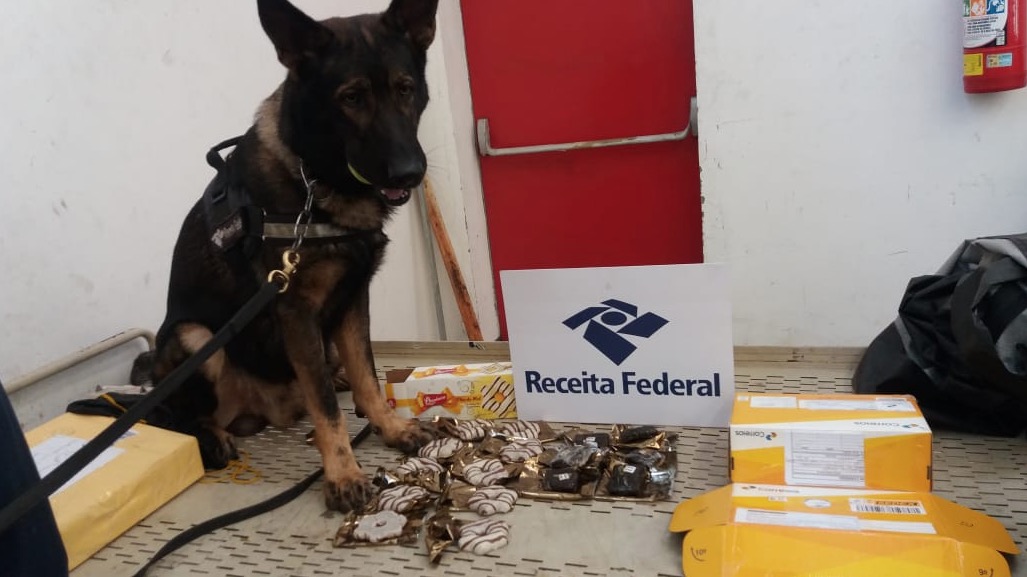 Receita apreende mais de R$ 350 mil em drogas e mercadorias ilegais nos Correios de Manaus