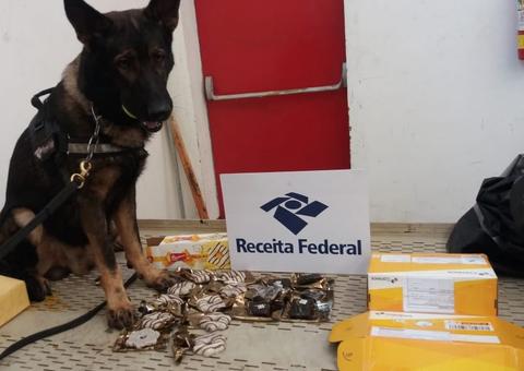 Receita apreende mais de R$ 350 mil em drogas e mercadorias ilegais nos Correios de Manaus