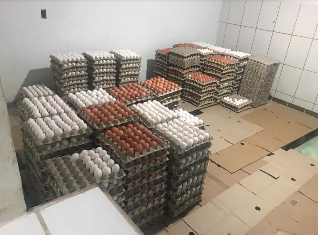 Adaf concede selo de qualidade ao segundo entreposto de ovos de Presidente Figueiredo