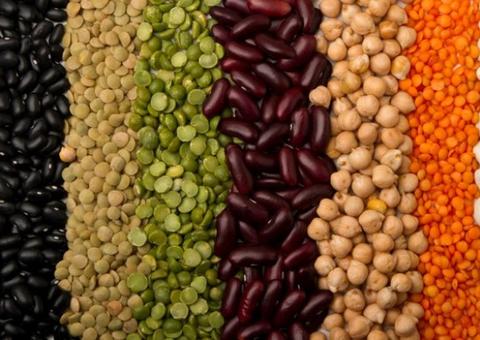 Ingerir grãos todo dia melhora a circulação sanguínea