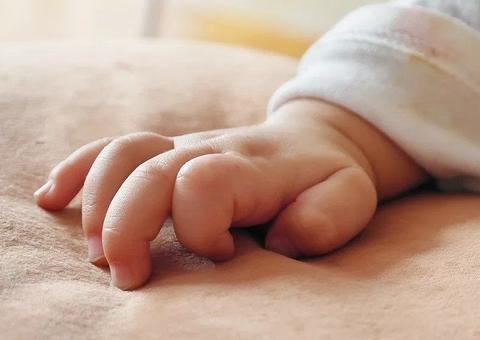 Em Manaus, cachorro mata bebê de 2 meses com mordida na cabeça