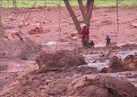 Número de mortos identificados em Brumadinho chega a 151