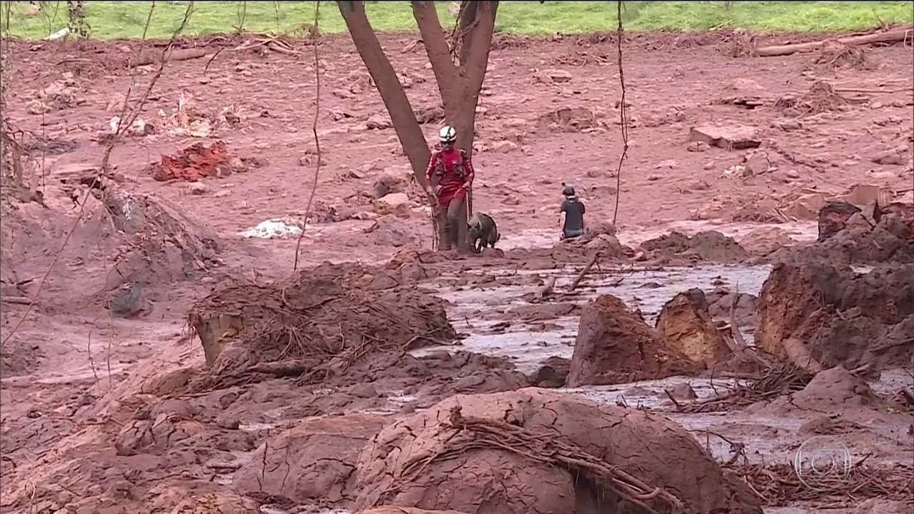 Número de mortos identificados em Brumadinho chega a 151