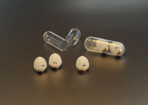 Pesquisadores desenvolvem cápsula de insulina que pode substituir injeção de diabéticos