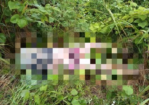 Corpo de mulher é encontrado com mãos amarradas e saco na cabeça em ramal de Manaus 