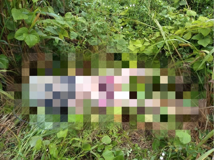 Corpo de mulher é encontrado com mãos amarradas e saco na cabeça em ramal de Manaus 