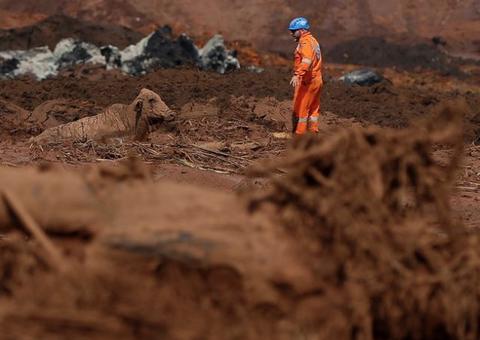 Ibama vê falha no salvamento de animais e aplica nova multa à Vale