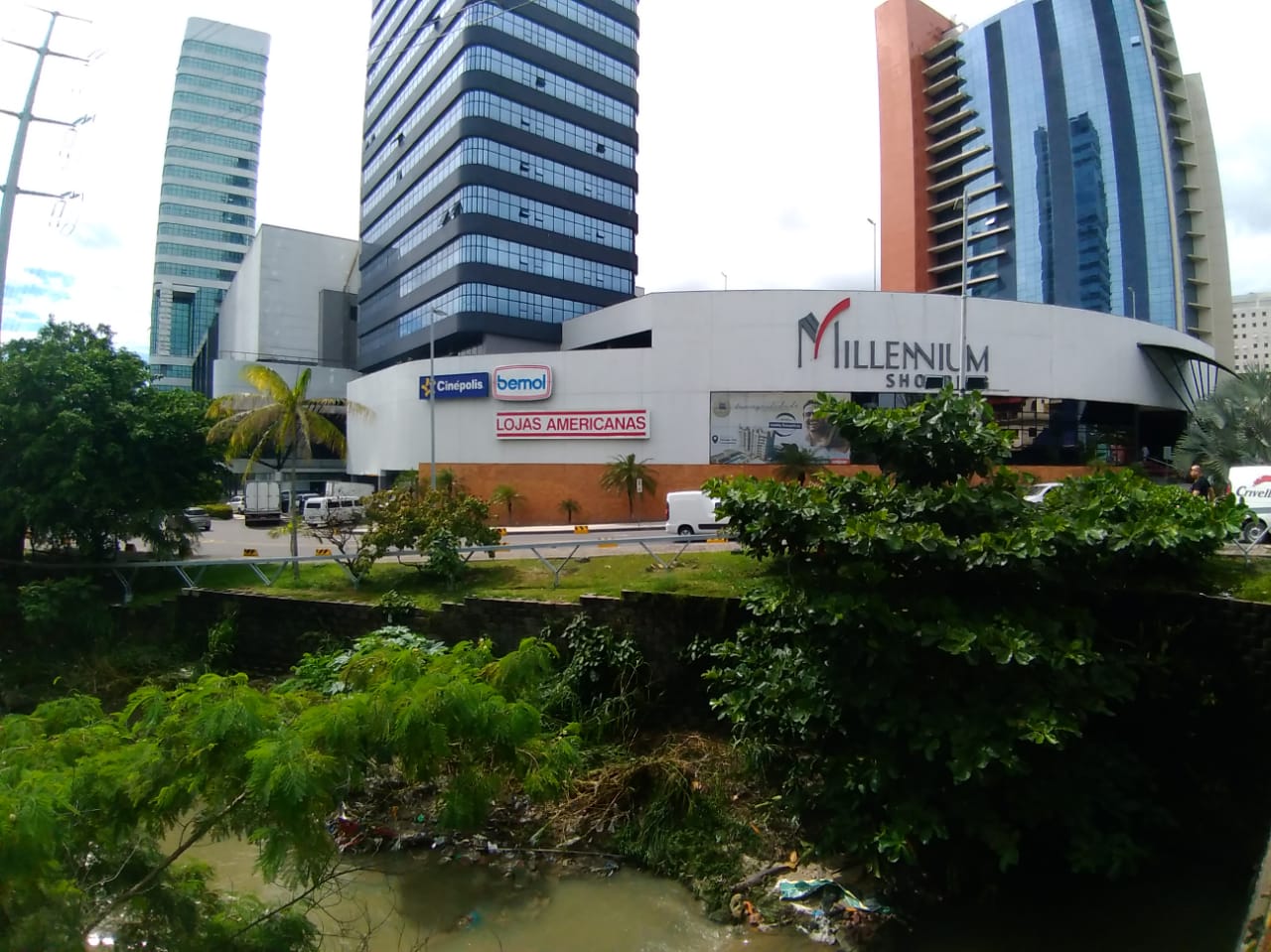 Jacaré 'gigante' é flagrado em igarapé ao lado de shopping em Manaus