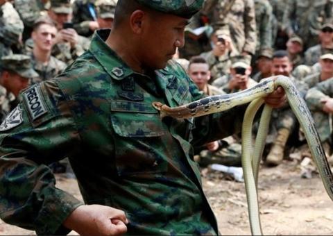 Soldado é picado por cobra durante exercício militar na Tailândia