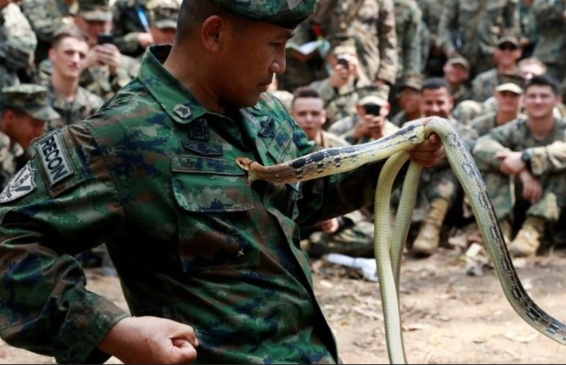 Soldado é picado por cobra durante exercício militar na Tailândia