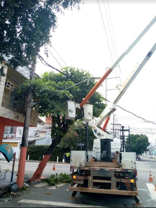 Prefeitura realiza manejo de oitizeiros em Manaus