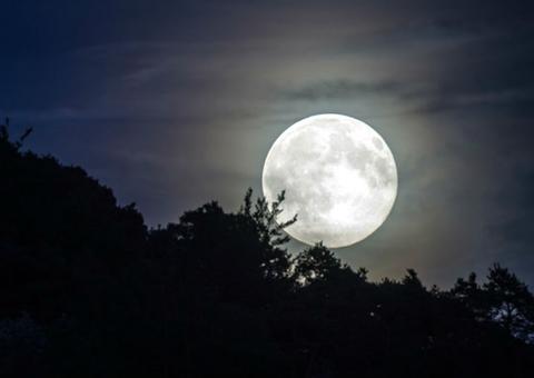 Maior Superlua do ano acontece na noite dessa terça-feira