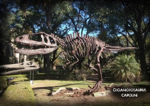 Exposição 'Aventura Jurássica' terá réplicas gigantes de fosseis de dinossauros