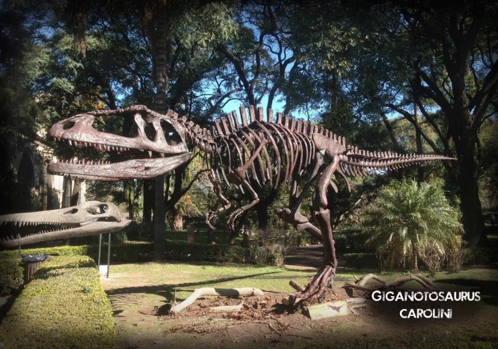 Exposição 'Aventura Jurássica' terá réplicas gigantes de fosseis de dinossauros