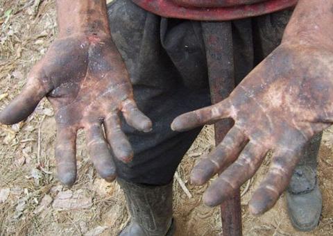 Seis pessoas em condição análoga à de escravo são resgatadas na região Norte