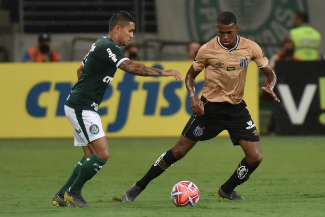 Palmeiras e Santos decepcionam e ficam no empate sem gols no Allianz Parque