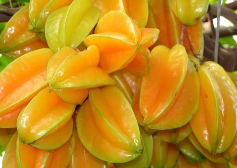 Carambola é poderoso anti-inflamatório e melhora sistema imunológico 