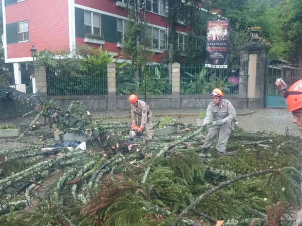 Árvore cai sobre casa e atinge bebê e outra criança durante temporal