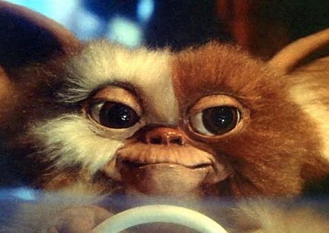 Gremlins vai ganhar série animada