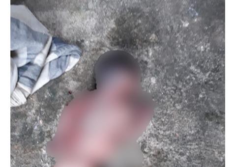 Corpo de bebê é encontrado em quintal de casa em Manaus