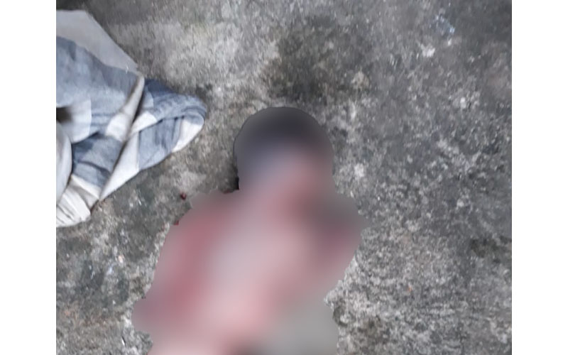 Corpo de bebê é encontrado em quintal de casa em Manaus