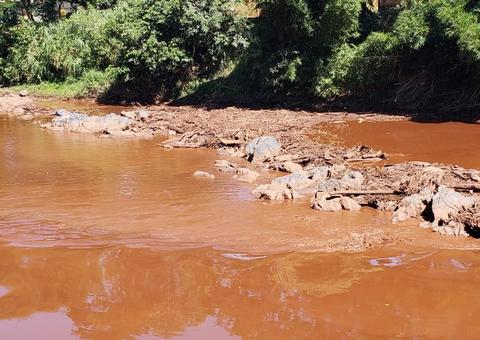 Relatório de ONG aponta que trecho de 300 km do Rio Paraopeba 'está morto'
