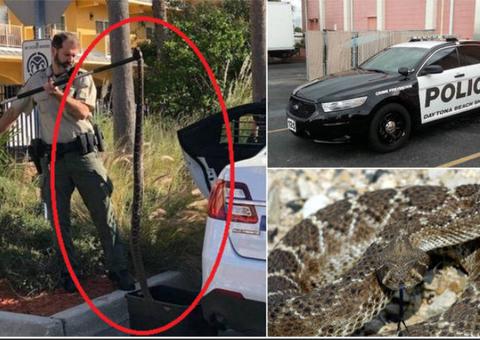 Morador de rua é denunciado por colocar cobra gigantesca em viatura