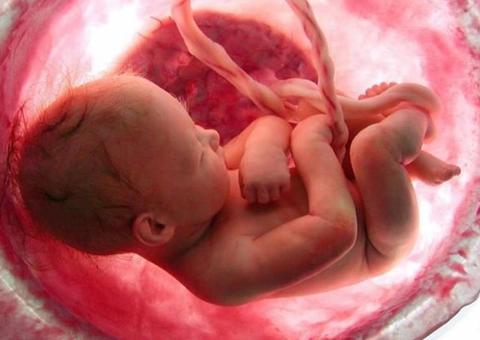 O que o bebê enxerga dentro da barriga? Especialista responde