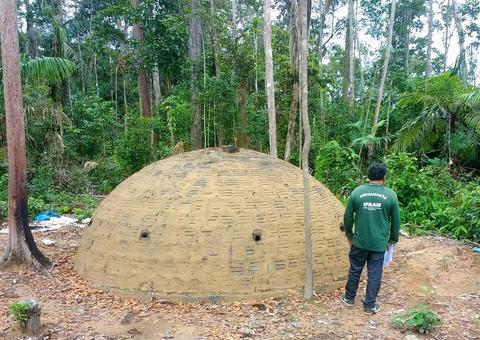 Ipaam apreende lenha, caminhão e aplica multas de R$ 22,5 mil durante operação 