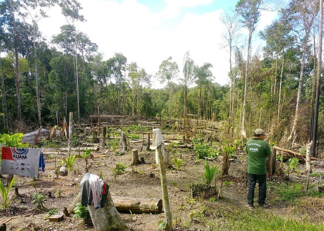 Ipaam apreende lenha, caminhão e aplica multas de R$ 22,5 mil durante operação 
