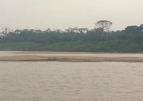 No AM, homem cai no rio e desaparece após barco fazer manobra difícil