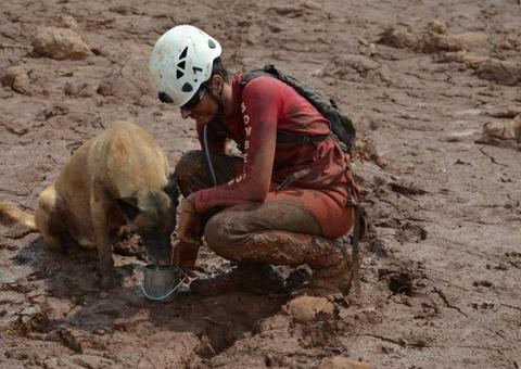 Força-tarefa que investiga tragédia em Brumadinho recomenda afastamento de diretoria da Vale