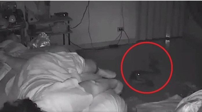 Idosa desvia de mordidas de cobra fatal enquanto dorme