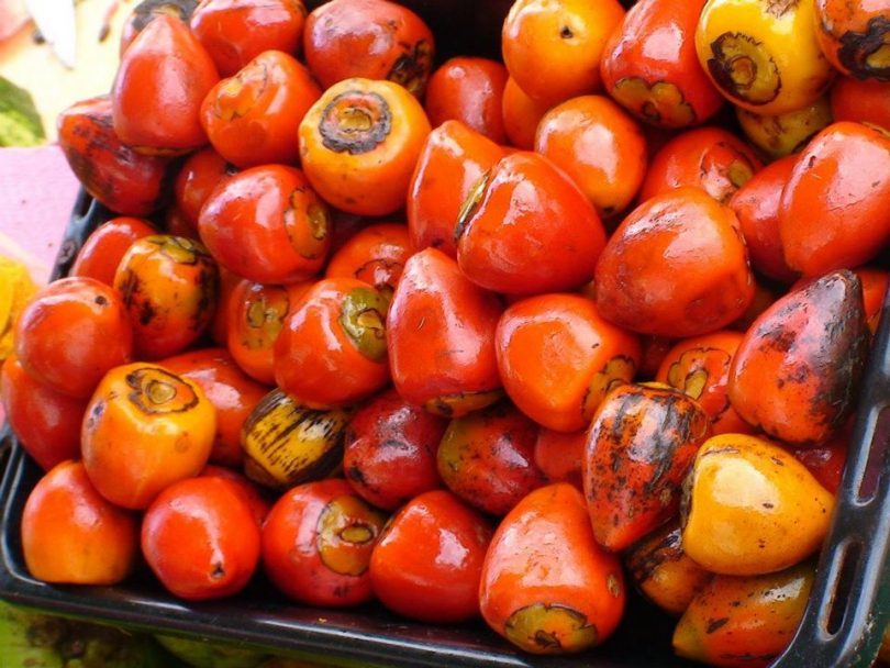 Pupunha previne doenças degenerativas e o envelhecimento precoce. Saiba mais