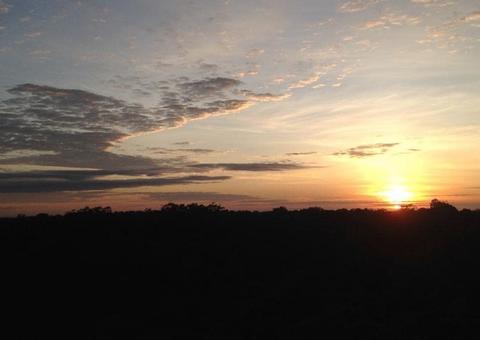 Dia Internacional da Mulher terá trilha guiada especial e desconto no Museu da Amazônia