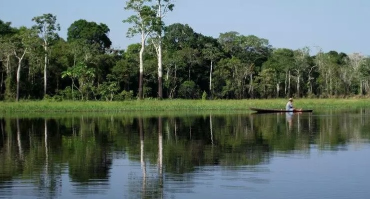 MPF recomenda proteção a áreas tradicionais de colheita da castanha no Amazonas 