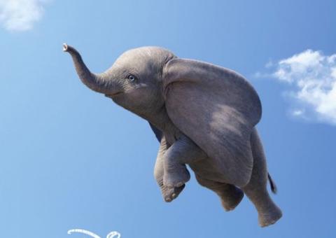 Dumbo ganha clipe fofo com cenas inéditas. Vem ver