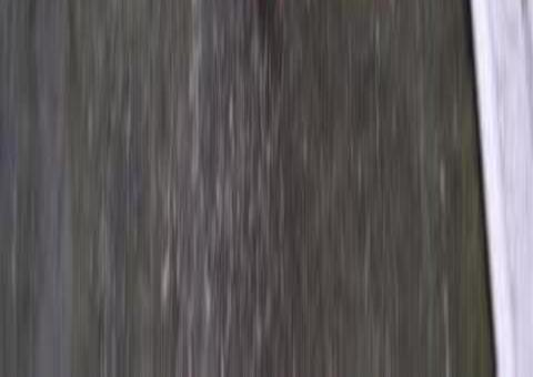 Bombeiros resgatam cobra com mais de 2 metros em residência de Manaus