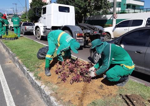Canteiro central de avenida ganha mais jardins em Manaus 