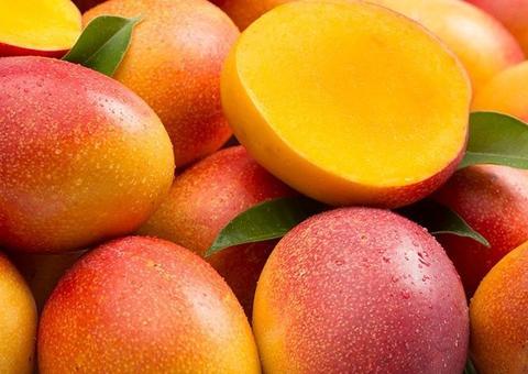 Manga previne doenças cardiovasculares e melhora saúde da pele. Saiba mais