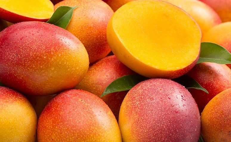 Manga previne doenças cardiovasculares e melhora saúde da pele. Saiba mais